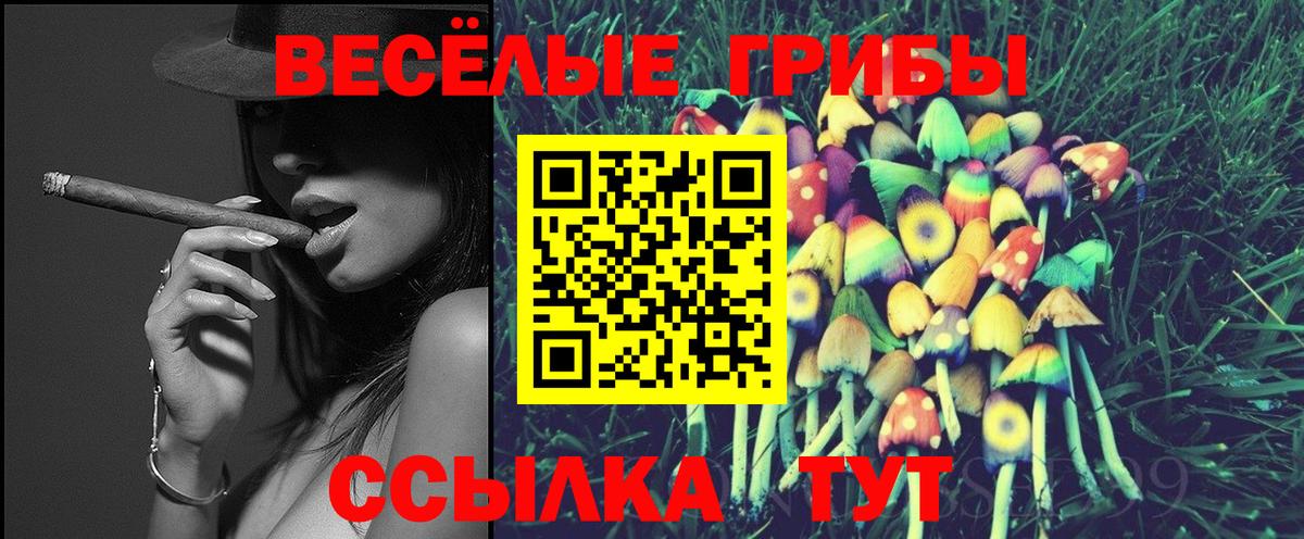 Галлюциногенные грибы Cubensis Великий Устюг